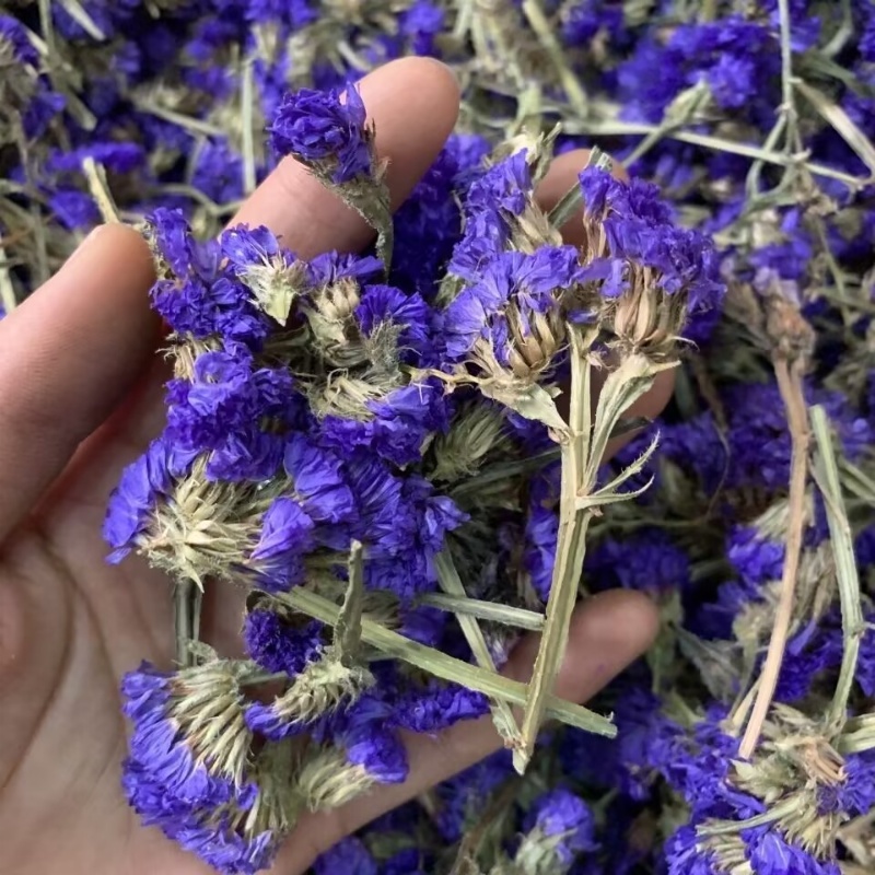 Top Natural Forget-me-not Drie - Soap Making Home review and price