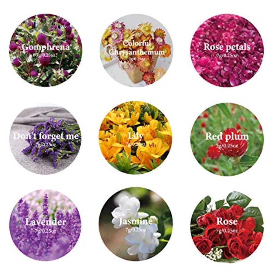 9 Bags Dried Flowers,100% Natu - Soap Making Home review and price